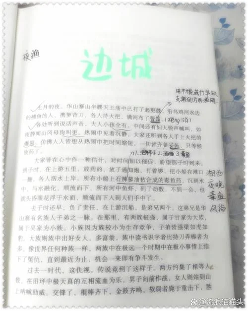 边城心得感悟100字-边城感悟精炼