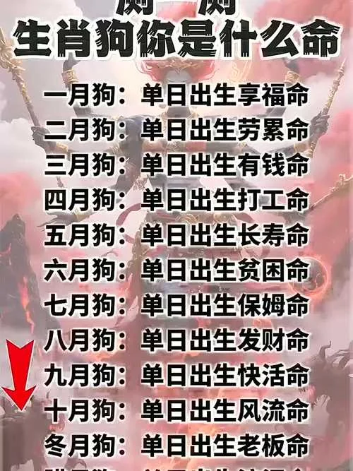 1994属狗2019年运势_2