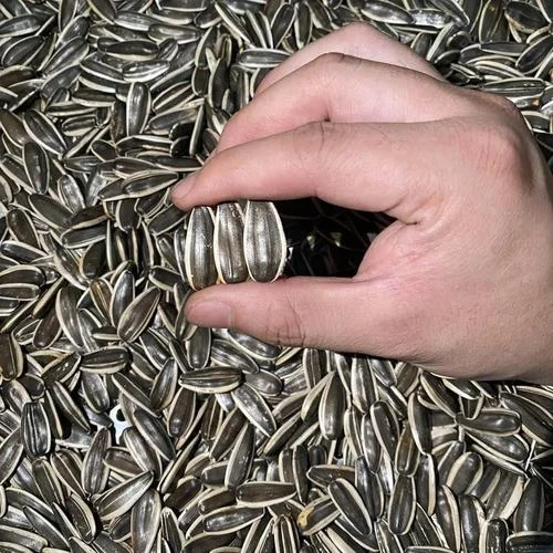 孕妇梦见买瓜子-孕妇梦购瓜子