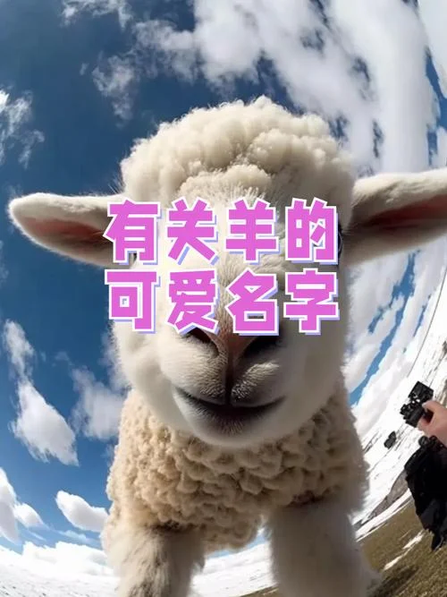 sheep的复数英文怎么写_2