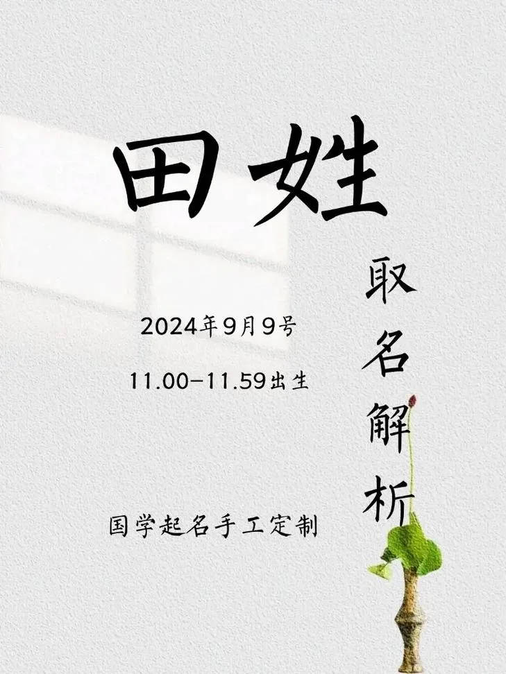 田姓男孩起名俩字-田姓男孩双字名字