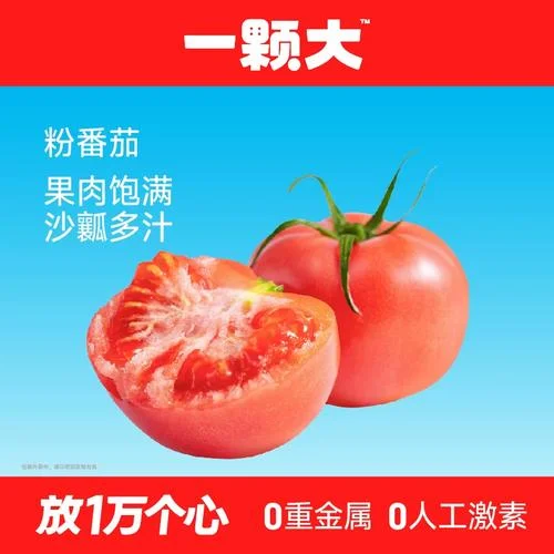 番茄那个直播叫什么_2