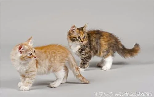 梦见贵人帮助赚钱了_2