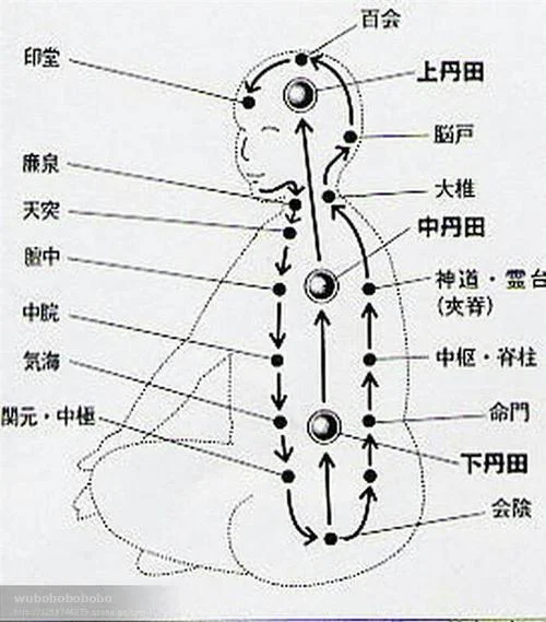 怎么用丹田发声朗诵_2