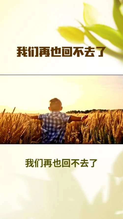 我们再也回不去了感悟_2
