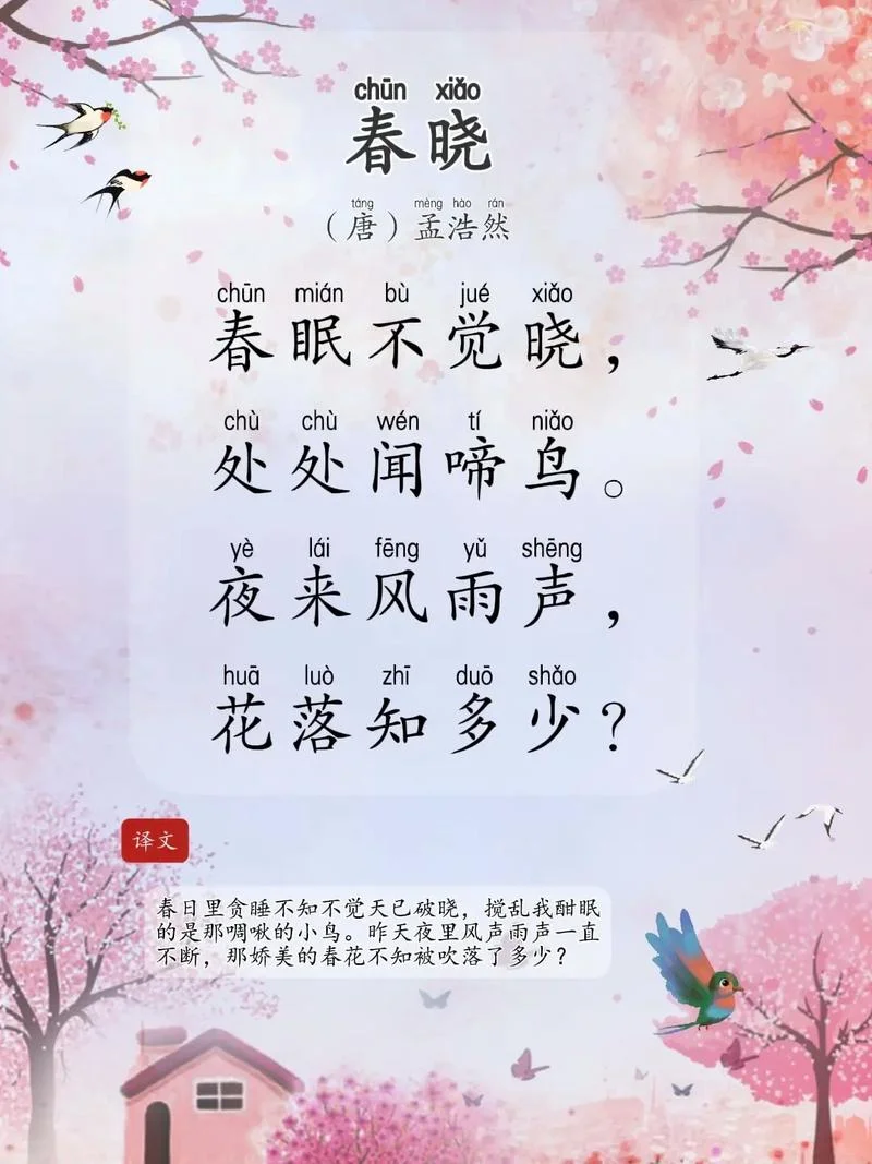 春晓作者是谁贺知章_2