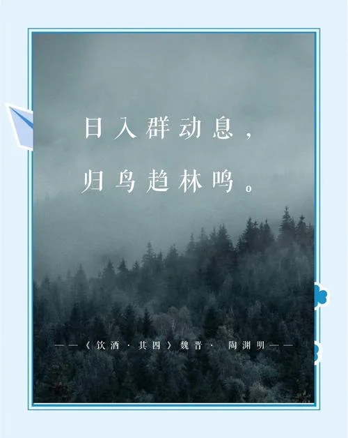 鸟倦飞而知还出处_1