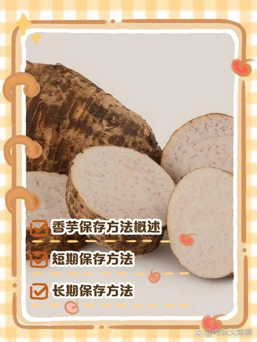 香芋一亩要多少成本_1