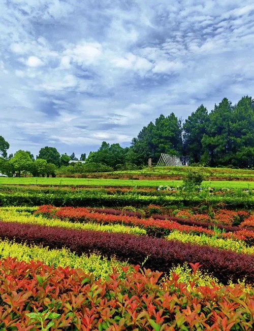 重庆篡江区旅游景点-重庆篡江区景点