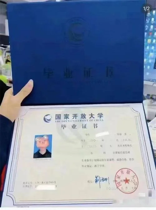 成人教育学历证书网上查询-成人学历网上查询