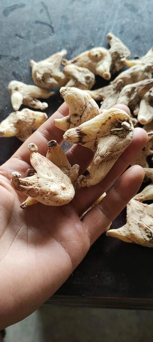 白芨一亩需要多少成本_1
