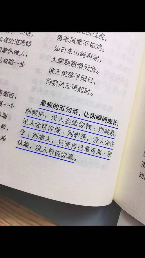 最火的文案书_1