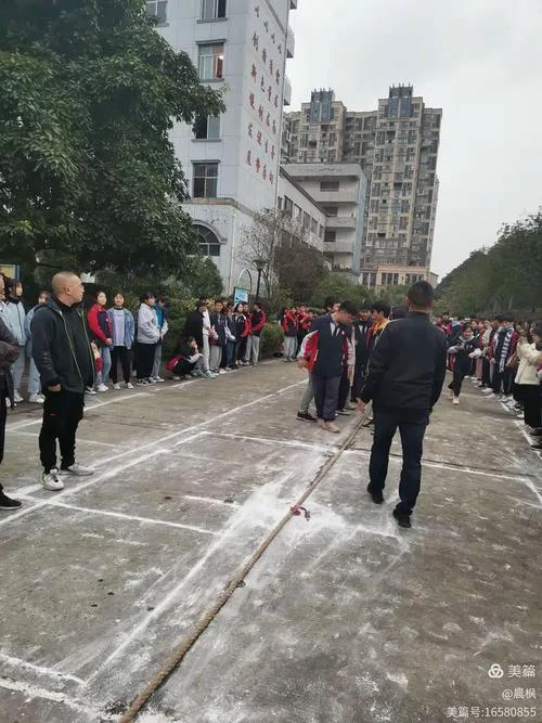 大英育才中学官网_2
