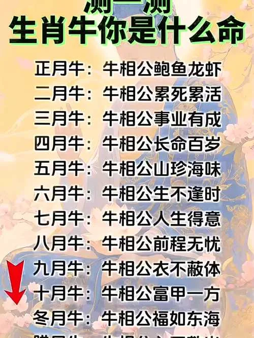 周易属牛的2017年运势-牛人 2017 年周易运势