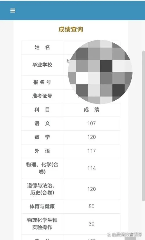 怎样查成绩分数_1