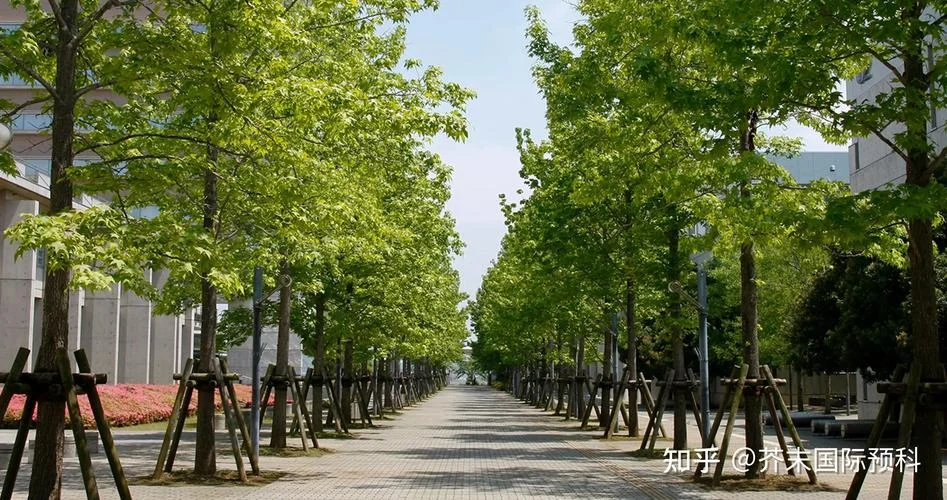 日本成城国际大学_1