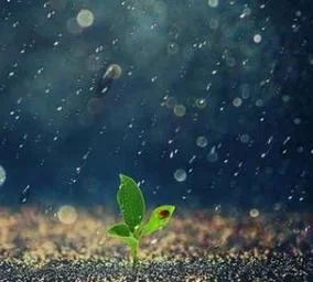 梦见下雨了周公解梦-周公解梦梦见下雨