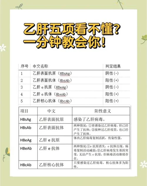 乙肝健康证怎么查_1