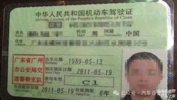驾驶证怎么查真假-驾驶证真假查询