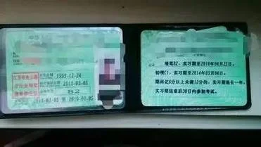 b2驾驶证报考学费多少_1