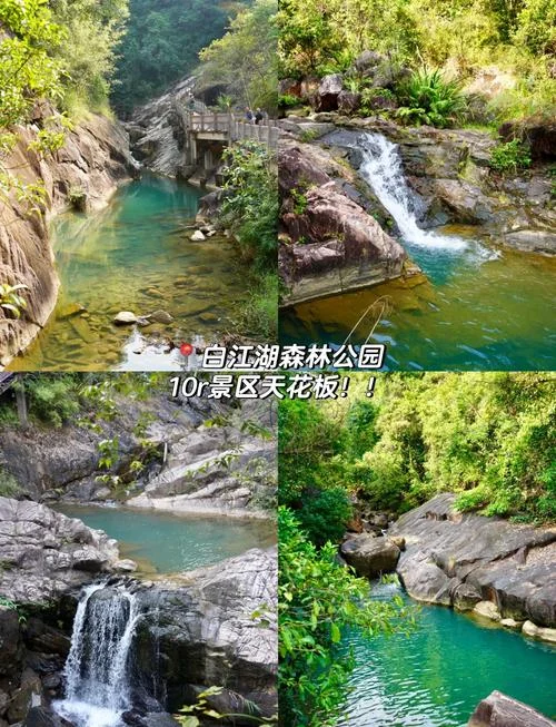 广州两天一夜旅游攻略_1