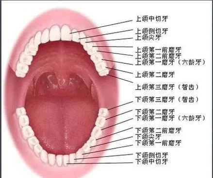 小孩子磨牙是为什么_1