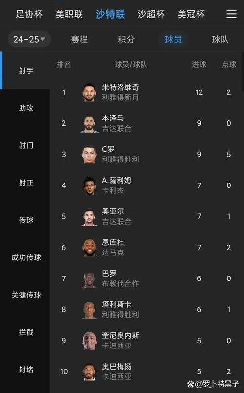 沙特在世界杯成绩_2