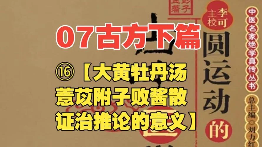 大黄牡丹汤的出处_1