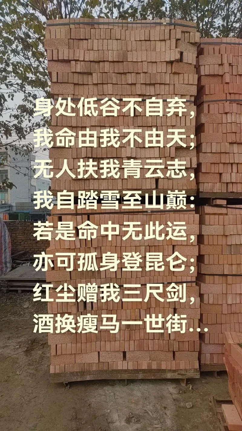 我发誓文案_1