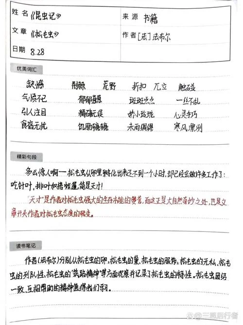 昆虫记松毛虫读后感悟_1