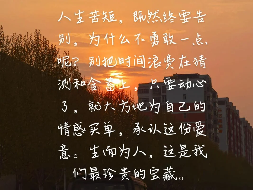 就是爱你没有道理-爱你没道理