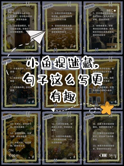 捉迷藏感悟_1