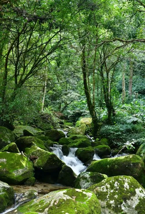 腾冲景点游_1
