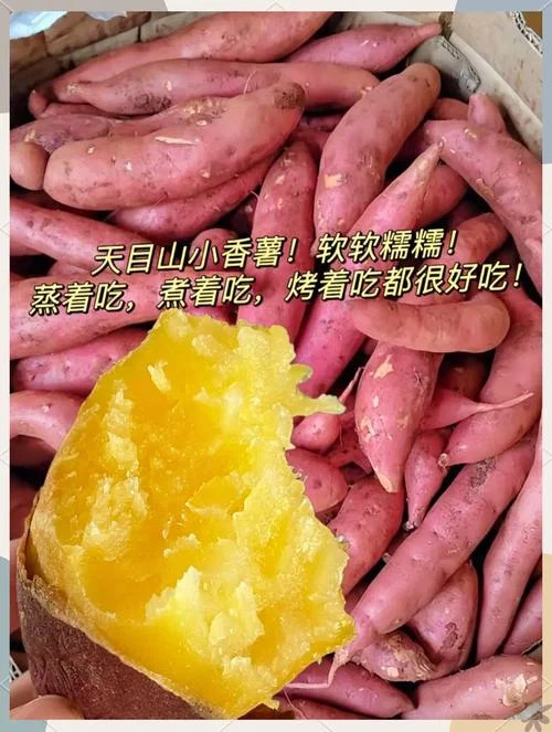 孕妇梦见自己吃红薯-孕妇梦食红薯