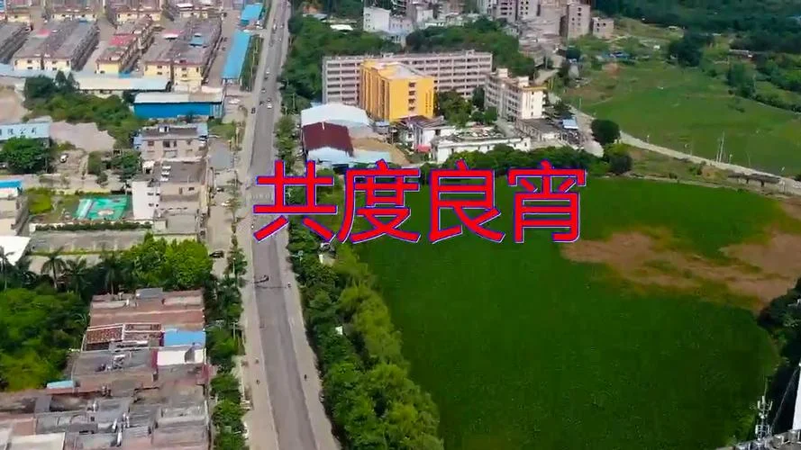爱情没什么道理现场版_1