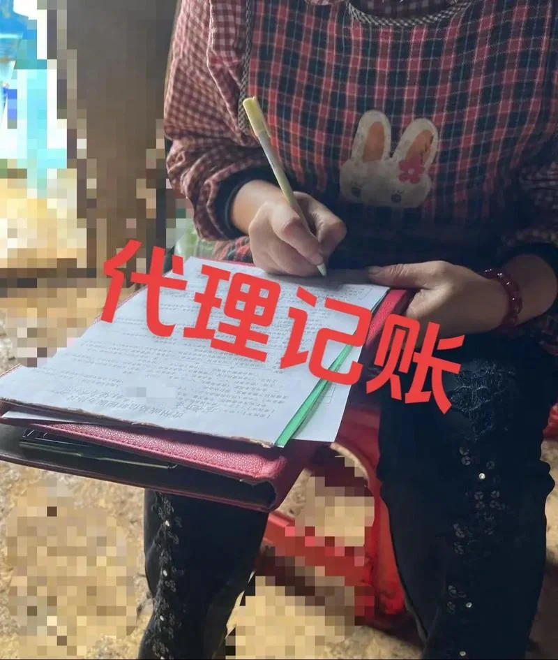 农业公司做账需要什么-农业公司做账指南
