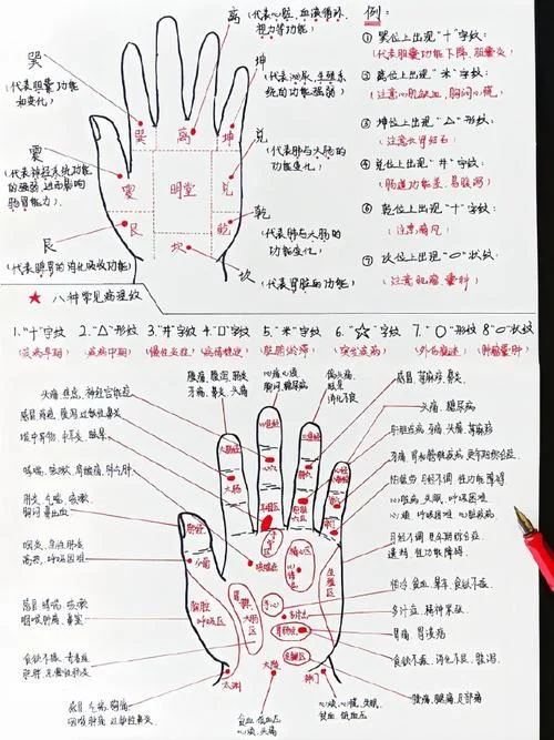 自己怎么看手相_2