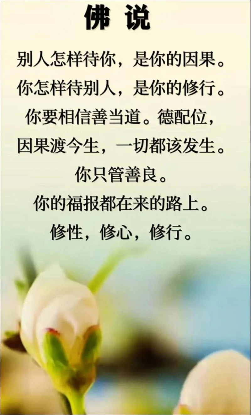 禅语感悟人生文案_1