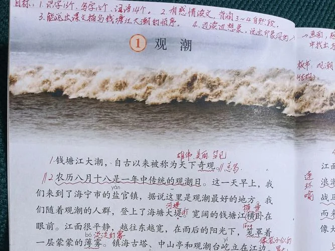 观潮讲的道理_1