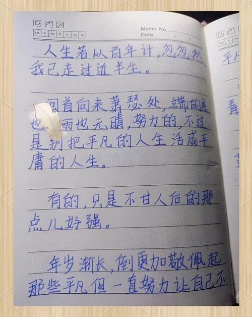 对于人生感悟的摘抄_1