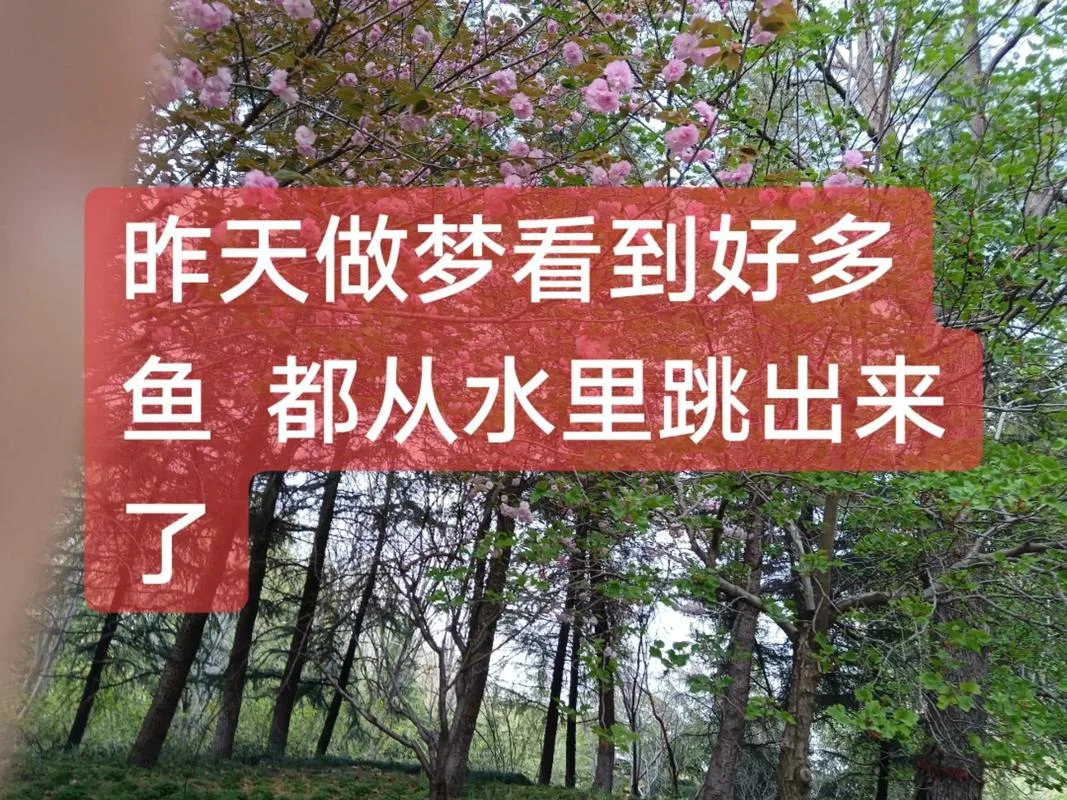 梦见江水里游泳-梦见江水游泳