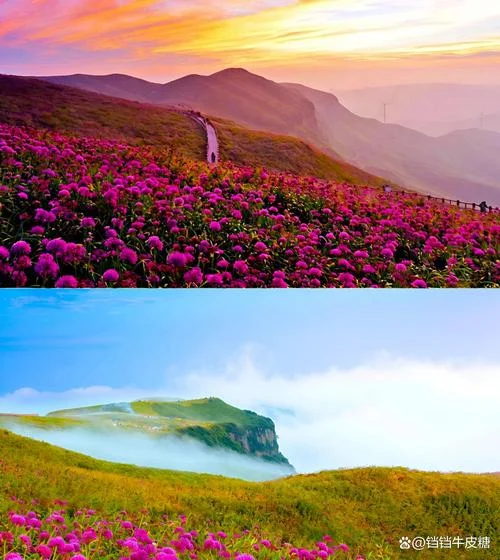 毕节旅游景点大全_2