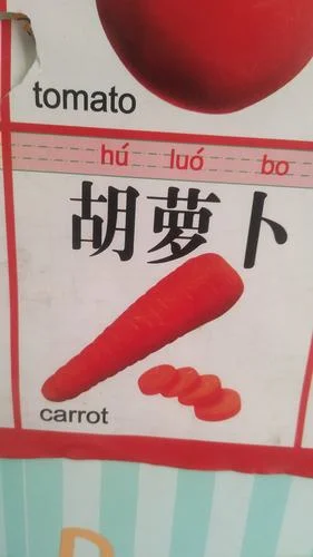 萝卜的英语怎么写_2