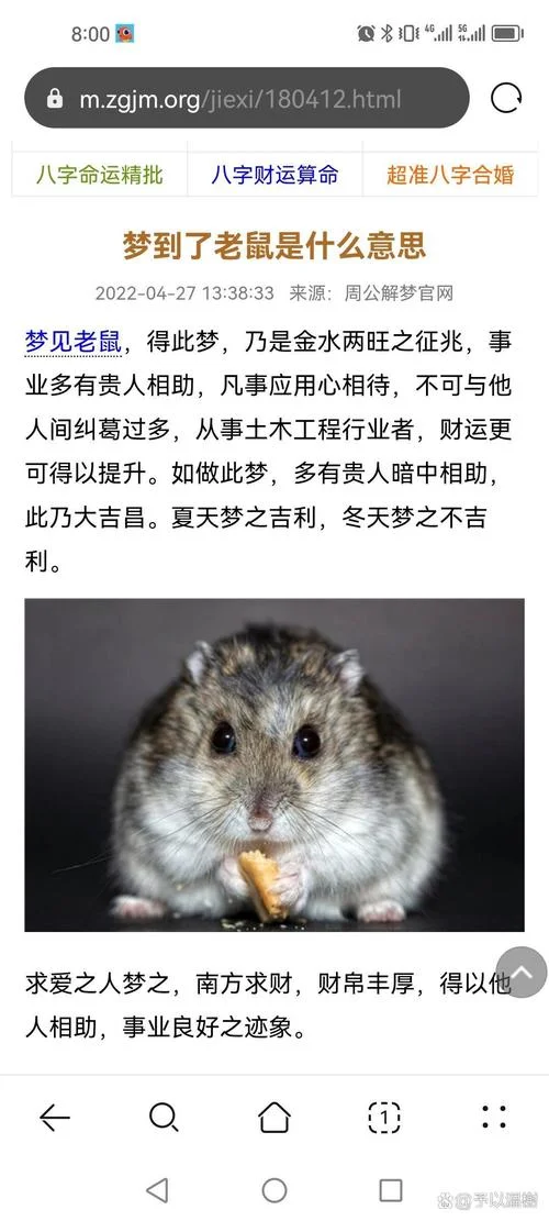 梦见被老鼠咬是什么意思_1