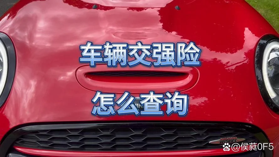 车辆保险在哪里查_1