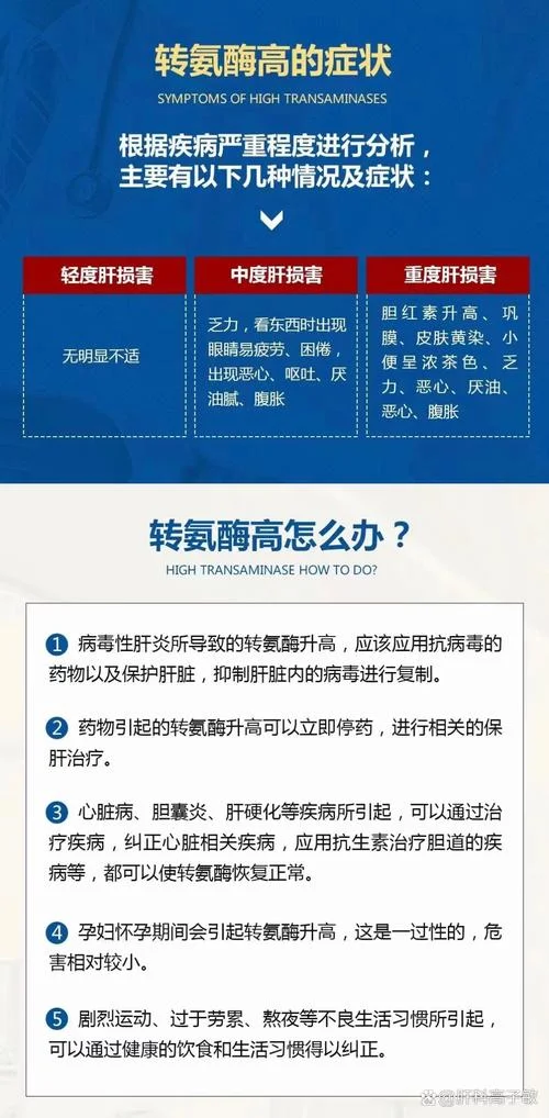 转氨酶什么意思的是_2