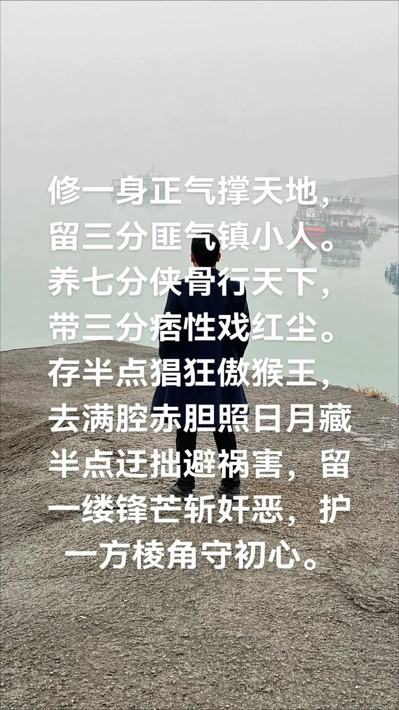 一身傲骨两袖杀气出自_2