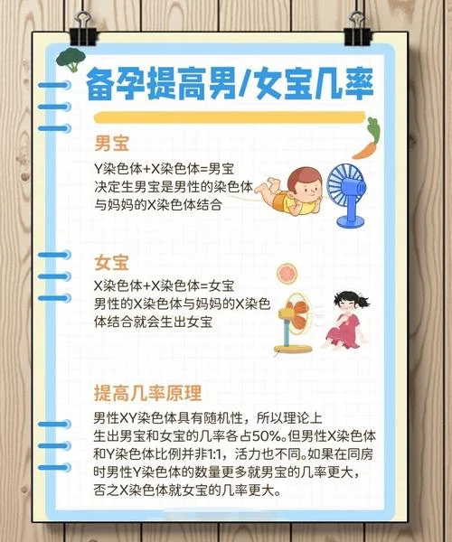 几月份备孕可以生男孩-备孕生男的最佳月