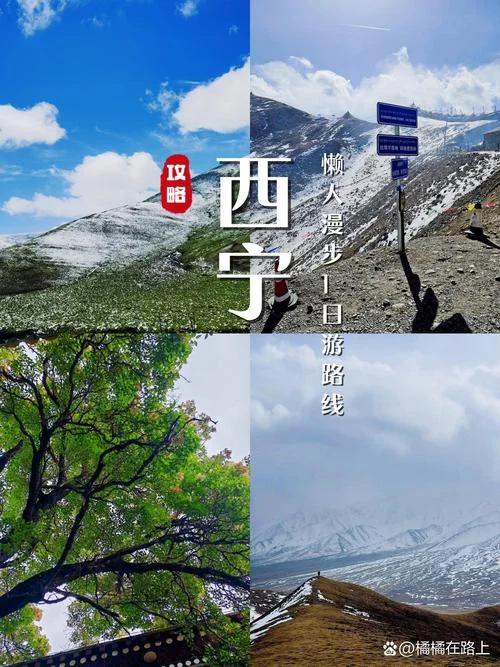 西宁到青海湖二日游_1