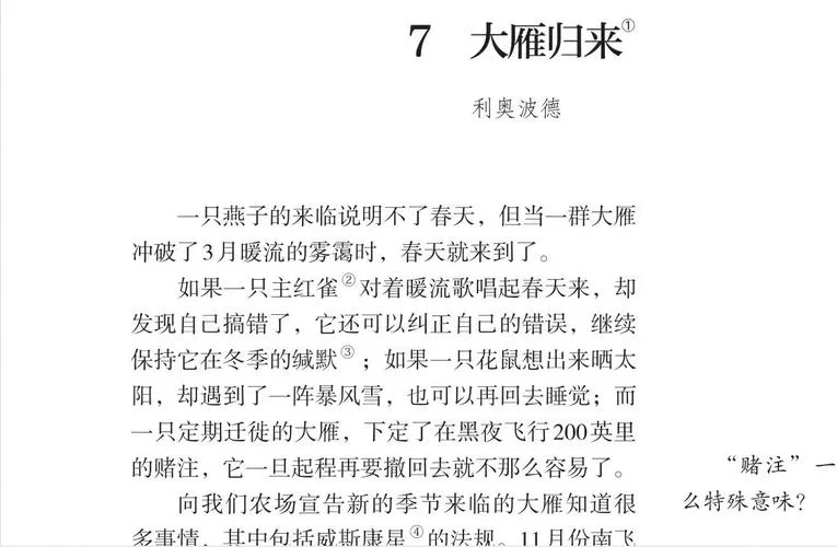 春燕归来阅读感悟_1